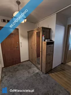 43447 - zdjęcie nr 2
