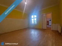 41951 - zdjęcie nr 2