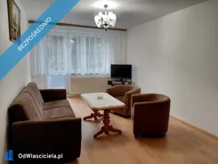 40581 - zdjęcie nr 2