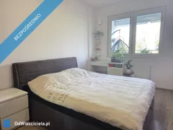 41738 - zdjęcie nr 2