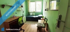 43366 - zdjęcie nr 2