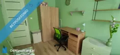 43366 - zdjęcie nr 3