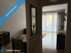 43576 - zdjęcie nr 1