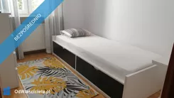43254 - zdjęcie nr 1