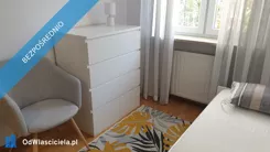 43254 - zdjęcie nr 2
