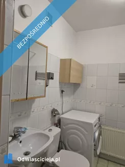 43364 - zdjęcie nr 3