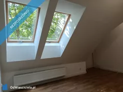 43497 - zdjęcie nr 3