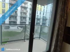 41257 - zdjęcie nr 3