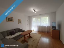 28599 - zdjęcie nr 2