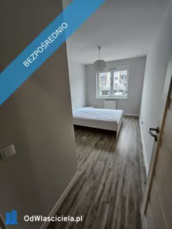43266 - zdjęcie nr 3