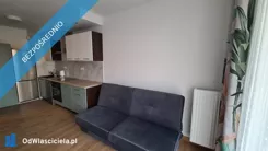 43362 - zdjęcie nr 2