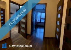 41321 - zdjęcie nr 1