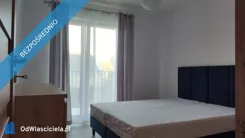 41774 - zdjęcie nr 3