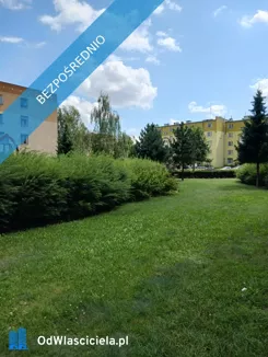 42731 - zdjęcie nr 0