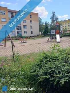 42731 - zdjęcie nr 2
