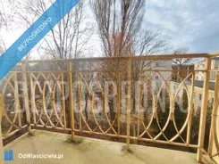 41668 - zdjęcie nr 3