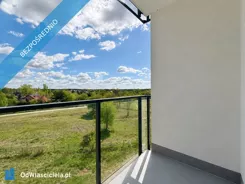 41715 - zdjęcie nr 4