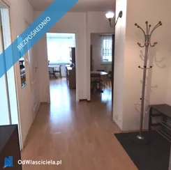 41646 - zdjęcie nr 3