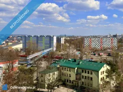 40907 - zdjęcie nr 2