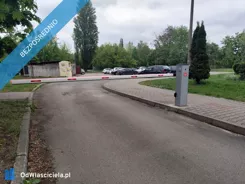 41530 - zdjęcie nr 0
