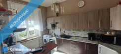 41041 - zdjęcie nr 2