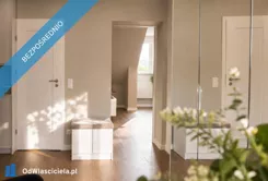 41555 - zdjęcie nr 1