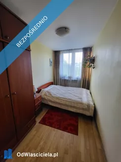 41729 - zdjęcie nr 1