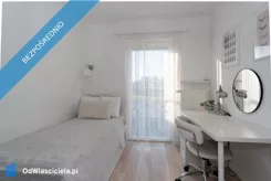 42459 - zdjęcie nr 3