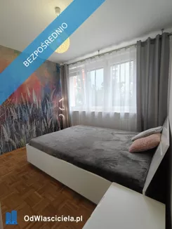 43432 - zdjęcie nr 1