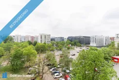41795 - zdjęcie nr 2