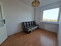 42373 - zdjęcie nr 2