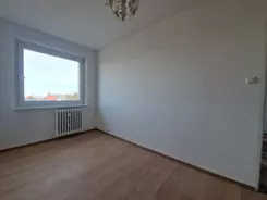 42373 - zdjęcie nr 3