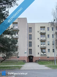 39193 - zdjęcie nr 0