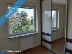 43642 - zdjęcie nr 4