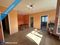 42369 - zdjęcie nr 2