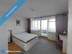 41075 - zdjęcie nr 1