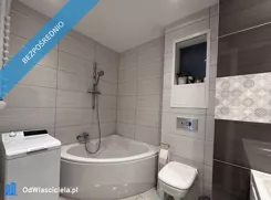 41944 - zdjęcie nr 3