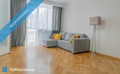 41123 - zdjęcie nr 3