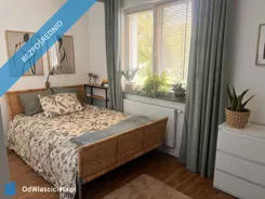 44619 - zdjęcie nr 2