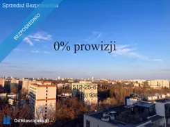 41119 - zdjęcie nr 1