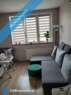 44361 - zdjęcie nr 2