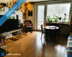 40584 - zdjęcie nr 2