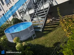 43019 - zdjęcie nr 2