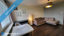 42969 - zdjęcie nr 2