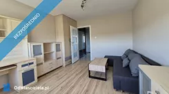 42969 - zdjęcie nr 3