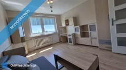 42969 - zdjęcie nr 4