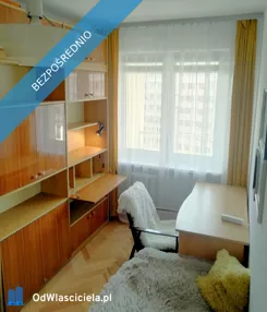 21254 - zdjęcie nr 2