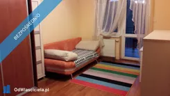 40592 - zdjęcie nr 1