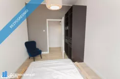 42941 - zdjęcie nr 3