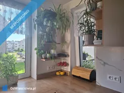 42244 - zdjęcie nr 4